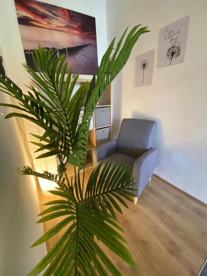 Apartment Dora Zadar Extérieur photo